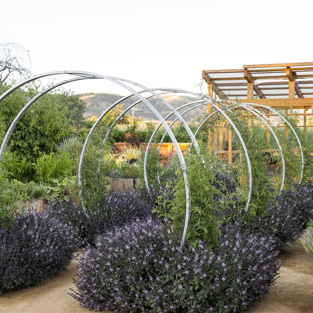 Crafting Your Green Oasis: Principles of Basic Garden Design